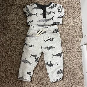 Shark outfit